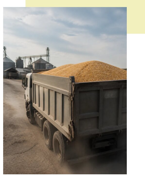 Перевозка сельхозпродукции навалом в Бугуруслан по цене от 3057 р. | Агросервис-Бгр